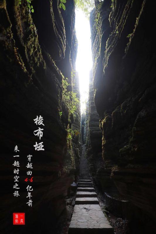 被困在殿堂的学生