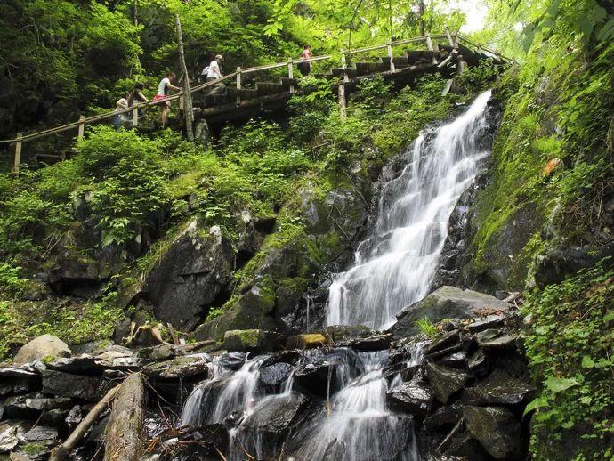 冰火人魔岛探险